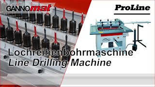 GANNOMAT ProLine 50  Doppelte Lochreihenbohrmaschine  Double Line Drilling Machine [upl. by Rugen]