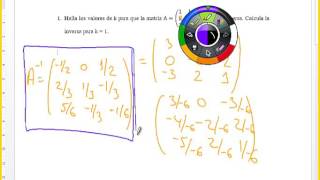 MATRIZ REGULAR Y SINGULAR [upl. by Susannah]