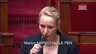 Intervention de Marion MaréchalLe Pen sur la recherche sur lembryon [upl. by Eivlys]