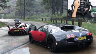 Bugatti Veyron amp Lamborghini Veneno  Forza Horizon 5  Moza R5 Steering Wheel Gameplay [upl. by Wilhelmine]