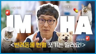 과거에 비해 독해진 반려동물 빈혈포기하긴 일러요👨🏻‍⚕️☝🏻｜IMHA｜면역매개성용혈성빈혈｜비재생성｜사망의 위험🚨 [upl. by Beaulieu]