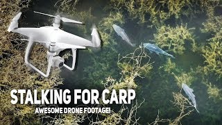 Stalking For Carp  Epic Visual Carp Fishing awesome drone footage [upl. by Nnyl]