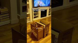 Cat like boxes🤣cat funncats cats funny catvideos catlover cute [upl. by Eli826]