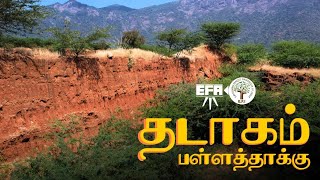 Thadagam Valley  தடாகம் பள்ளத்தாக்கு  EFI x EFA [upl. by Egin]