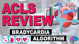 Bradycardia  ACLS Review [upl. by Ojiram]