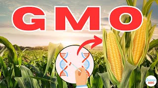 What are GMOs Genetically Modified Organisms [upl. by Heinrich619]