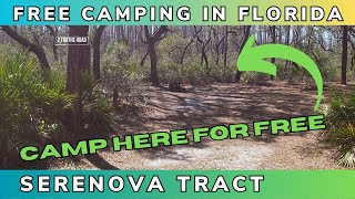 Episdoe 99 Best FREE CAMPING spot in Florida Serenova Tract Just love RV Camping [upl. by Enelyad]