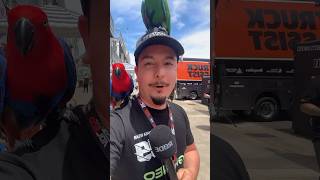 Never have I ever had 2 birds on me while doing a live interview at a race track adl500 supercars [upl. by Narton460]