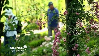 Visite du jardin de l’Haÿlesroses  Silence ça pousse [upl. by Aleacim654]