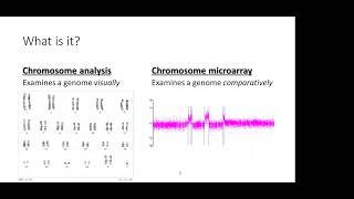 Chromosome Microarray CMA Testing [upl. by Tobey763]