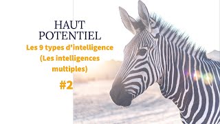 Lindividu à Haut Potentiel 2  Les 9 types dintelligence Les intelligences multiples [upl. by Ades]