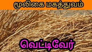 டென்ஷனை குறைக்கும் வெட்டிவேர் மருத்துவ பயன்கள்  HOME REMEDIES IN TAMIL [upl. by Rollin]