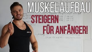 Muskelaufbau für Anfänger  So steigerst du dich Trainingsplanung [upl. by Marfe]