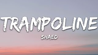 SHAED  Trampoline Lyrics [upl. by Valer594]