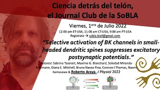 Science behind the scenes  SoBLA Journal Club  Roberto Araya  01 de julio de 2022 [upl. by Rosana638]