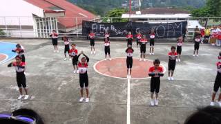 SAA ELEMENTARY CHEERDANCE 2014 quotquotTHE CHAMPIONquot [upl. by Mascia]