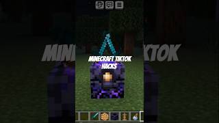 Minecraft TikTok hacks minecraft minectraftbuilding minecraftpe [upl. by Bostow]