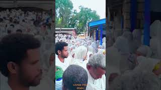 ethiopia orthodox tewahido mezmur ambo kidanemihiret [upl. by Ydnew281]