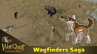 Bears and Bad Judgment  WolfQuest Wayfinders Saga Year 2 6 [upl. by Naillil345]