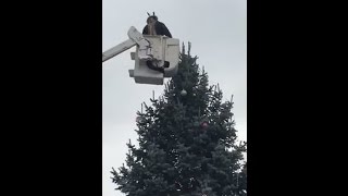 Cross being removed from Knightstown Christmas tree [upl. by Fortunna518]