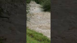 Hochwasser am jenbach in bad feilnbach 02092017 [upl. by Atalaya]