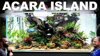 Electric Blue amp Royal Acara Tank EPIC 4ft Aquascape Tutorial [upl. by Artekal]