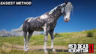 The Best Horse in Red Dead Redemption 2  Missouri Fox Trotter Silver Dapple Pinto  RDR2  PS4 Slim [upl. by Coit]