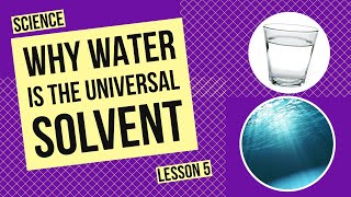 Why Water is the Universal Solvent The Science Behind Water’s Dissolving Power [upl. by Niad]