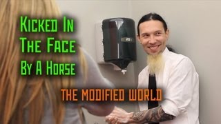 Kicked In The Face By A Horse Cartilage Piercings THE MODIFIED WORLD [upl. by Anahc]