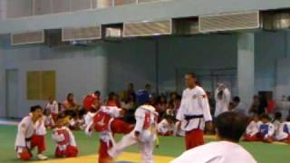 sikaran vs taekwondo [upl. by Alenoel]