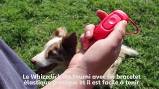 Whizzclick Clix combine un clicker et un sifflet idéal pour le dressage de votre chien [upl. by Korry17]