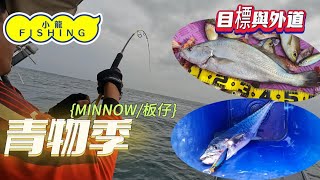 23166夏天要拖鮫偏偏隊員愛玩外道果洲群島拖青合輯fishing0118 [upl. by Ardnosal]