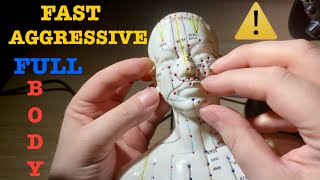 ASMR⚠️FAST AGGRESSIVE SCRATCHING MASSAGE ON EACH SPECIFIC PART OF ACUPUNCTURE DOLL BODY 💆🏻 [upl. by Ibot]