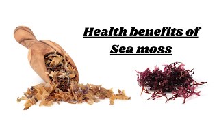 What are the health benefits of sea moss A Comprehensive Guide for Wellness [upl. by Refinej]