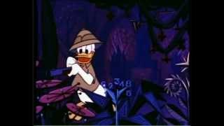 Donald au Pays des Mathémagiques 1959  Walt Disney [upl. by Naveb]