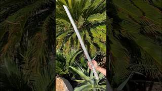 Making a Samurai Sword by sand casting samurai diy sword [upl. by Revilo528]