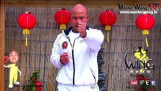 wing chun basics  How to do basic punches Lesson 2 [upl. by Crandale651]