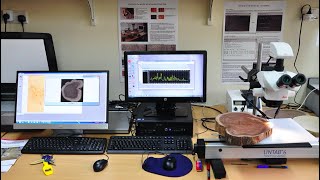 Techniques for Sampling and Analysis in Dendrochronology [upl. by Oirad186]