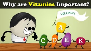 Why are Vitamins Important  more videos  aumsum kids science education children [upl. by Anaynek99]