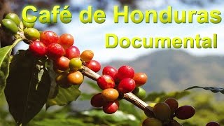 Café de Honduras Historia Regiones Geográficas y Variedades de Cafe Documental Completo [upl. by Seaddon]