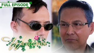 ENG SUB Ep 241  Wildflower  Maja Salvador Tirso Cruz III Aiko Melendez [upl. by Anhsirk]