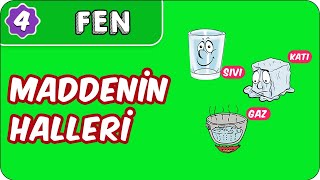 Maddenin Halleri  4 Sınıf Fen evokul Kampı [upl. by Toh]