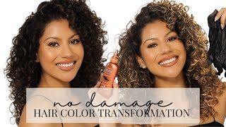 How to Color Curly Hair with ZERO Damage  Clairol Professional Beautiful Collection [upl. by Norraf]