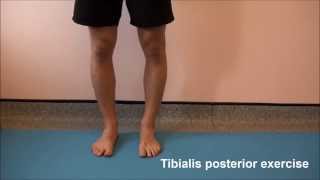 Tibialis posterior exercise [upl. by Otsirc]