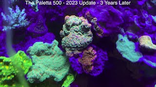 Paletta 500 Gallon Reef Tank  2023 Update  3 Years Later [upl. by Larimer]