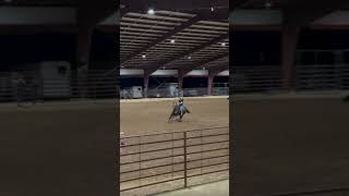 klsmashedaftersix gelding addisonsteele fypシ゚ workharder firstbarrel [upl. by Ariayek]