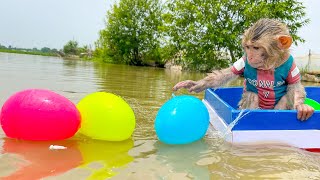 SMART MONKEY BIN BoN goes fishing to feed RAINBOW Formation Fish Animal Islands [upl. by Kcitrap704]