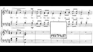 Marjan Grdadolnik  Laudate Dominum for mixed choir SATB div with accompaniment [upl. by Jehial]