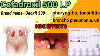 cefadroxil 500 ip  Odoxil 500 mg tablet pharyngitis tonsillitis bronchopneumonia uti infection [upl. by Harriette]