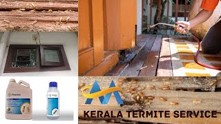 Termites solution  Treatment  Pest Contol Service  General Pest Control  Kerala  Service Call [upl. by Robma]